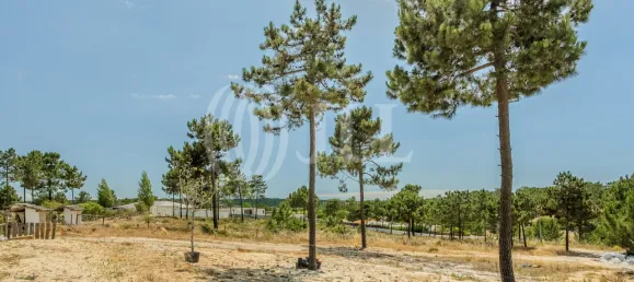  Land in Grandola, Portugal No. 64830 8