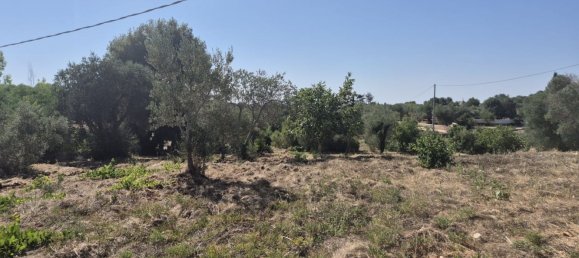 Casa de 2 habitaciónes en Ostuni, Italy No. 277460 9