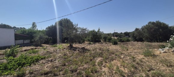 Casa de 2 habitaciónes en Ostuni, Italy No. 277460 7