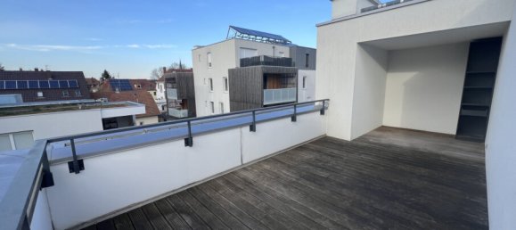 2 chambres Penthouse à Schiltigheim, France No. 317270 2