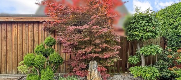 Бунгало с 4 комнатами в Люхов-Данненберг, Германия № 221788 4