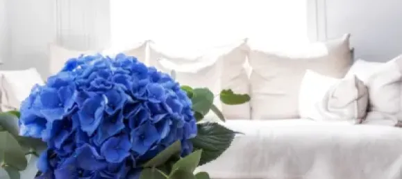 2 bedrooms Apartment in Palma de Majorca, Spain No. 173910 2