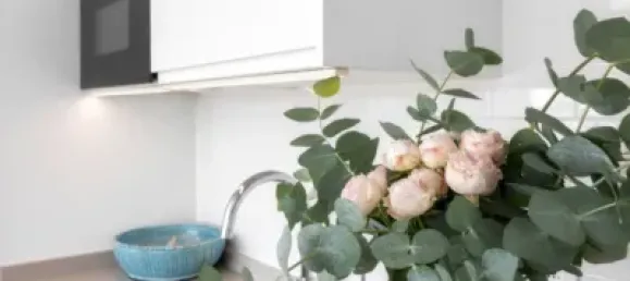 2 bedrooms Apartment in Palma de Majorca, Spain No. 173910 10