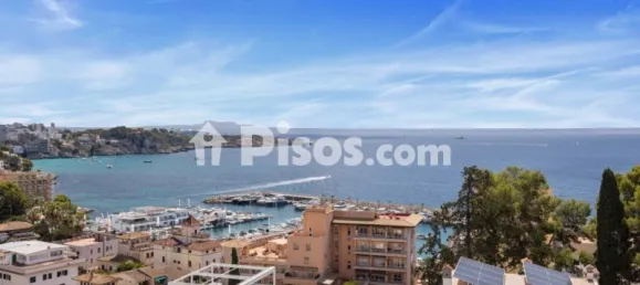2 bedrooms Apartment in Palma de Majorca, Spain No. 173910 12