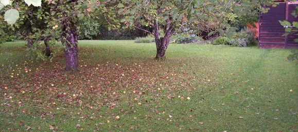 Terreno en Furstenfeldbruck, Germany No. 241150 9