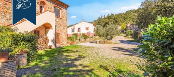 25 bedrooms Hotel in Civitella Paganico, Italy No. 17561 10