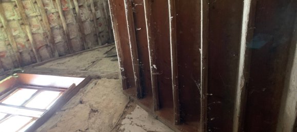 7 rooms House in Wolfenbuttel, Germany No. 126732 34