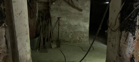 7 rooms House in Wolfenbuttel, Germany No. 126732 20