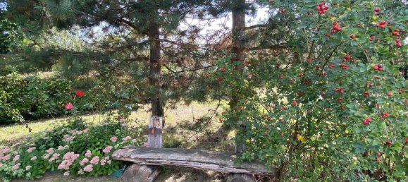 4غرفة منزل في Gera, Germany رقم 288758 43