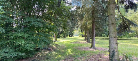 4غرفة منزل في Gera, Germany رقم 288758 35