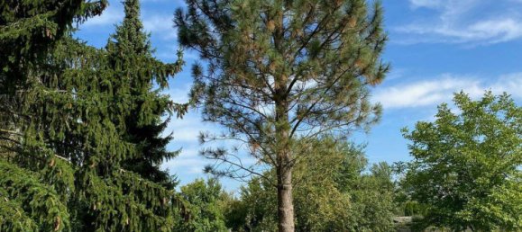 4غرفة منزل في Gera, Germany رقم 288758 36