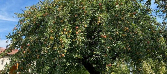 4غرفة منزل في Gera, Germany رقم 288758 39