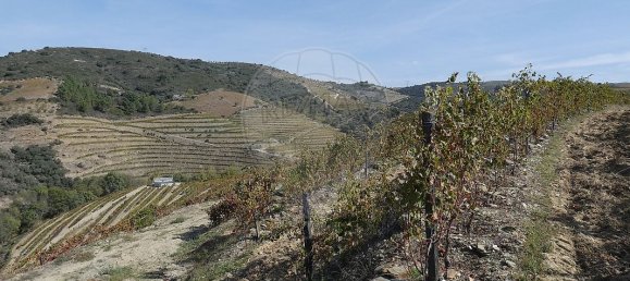 9 bedrooms Castles in Valongo dos Azeites, Portugal No. 49787 23