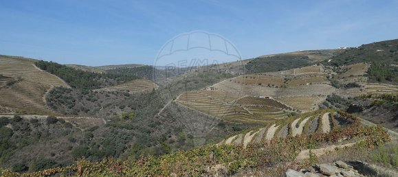 9 bedrooms Castles in Valongo dos Azeites, Portugal No. 49787 30