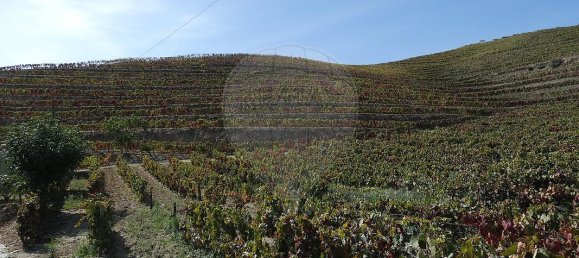 9 bedrooms Castles in Valongo dos Azeites, Portugal No. 49787 17