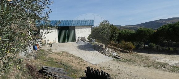 9 bedrooms Castles in Valongo dos Azeites, Portugal No. 49787 16