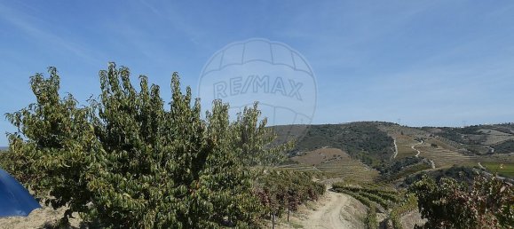 9 bedrooms Castles in Valongo dos Azeites, Portugal No. 49787 29