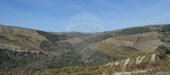 9 bedrooms Castles in Valongo dos Azeites, Portugal No. 49787 20