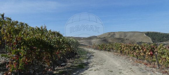 9 bedrooms Castles in Valongo dos Azeites, Portugal No. 49787 25