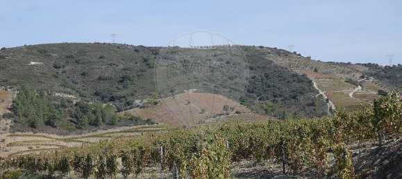 9 bedrooms Castles in Valongo dos Azeites, Portugal No. 49787 19