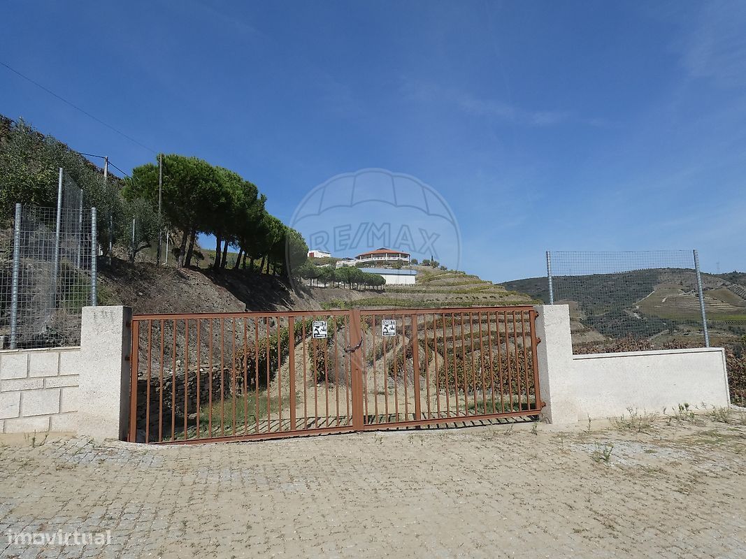 9 bedrooms Castles in Valongo dos Azeites, Portugal No. 49787