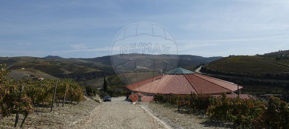 9 bedrooms Castles in Valongo dos Azeites, Portugal No. 49787 12