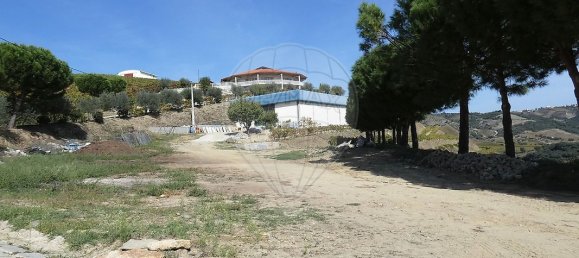 9 bedrooms Castles in Valongo dos Azeites, Portugal No. 49787 3