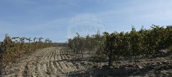 9 bedrooms Castles in Valongo dos Azeites, Portugal No. 49787 21