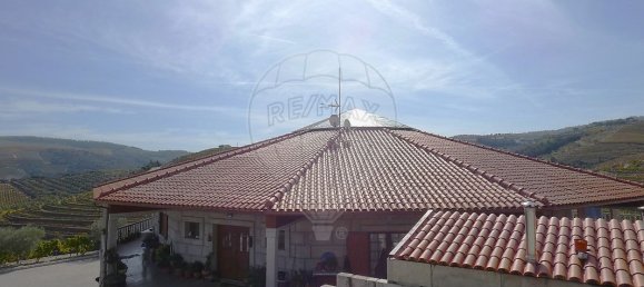 9 bedrooms Castles in Valongo dos Azeites, Portugal No. 49787 11