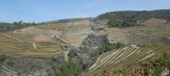 9 bedrooms Castles in Valongo dos Azeites, Portugal No. 49787 24