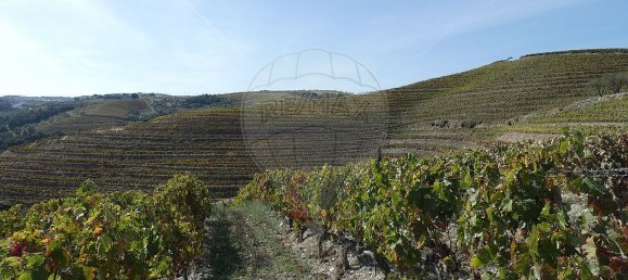 9 bedrooms Castles in Valongo dos Azeites, Portugal No. 49787 18