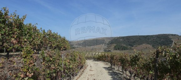 9 bedrooms Castles in Valongo dos Azeites, Portugal No. 49787 28