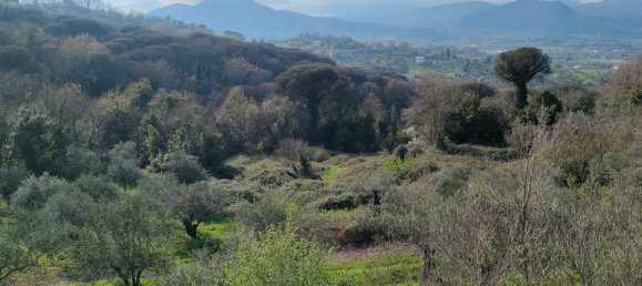 11 rooms Villa in Caiazzo, Italy No. 30929 43