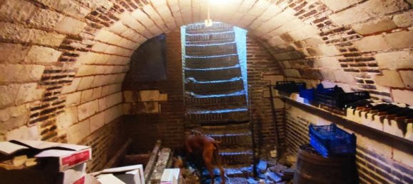 6 Schlafzimmer Haus in Torvilliers, France, Nr. 259625 26