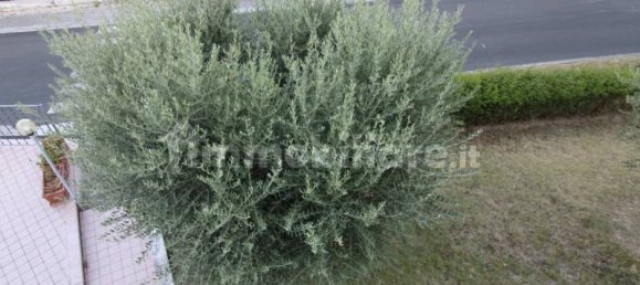 4 bedrooms Villa in Serra San Quirico, Italy No. 118588 14