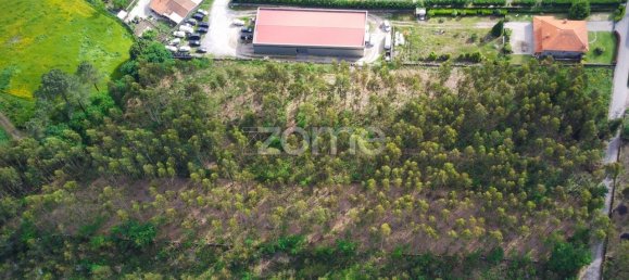 Terrain à Santo Tirso, Portugal 7900m² No. 64686 9