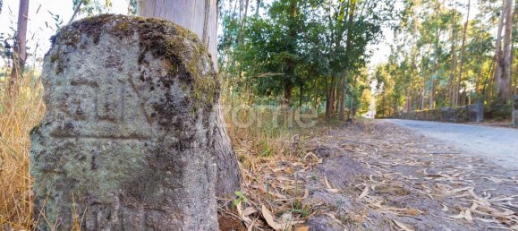 Terrain à Santo Tirso, Portugal 7900m² No. 64686 7