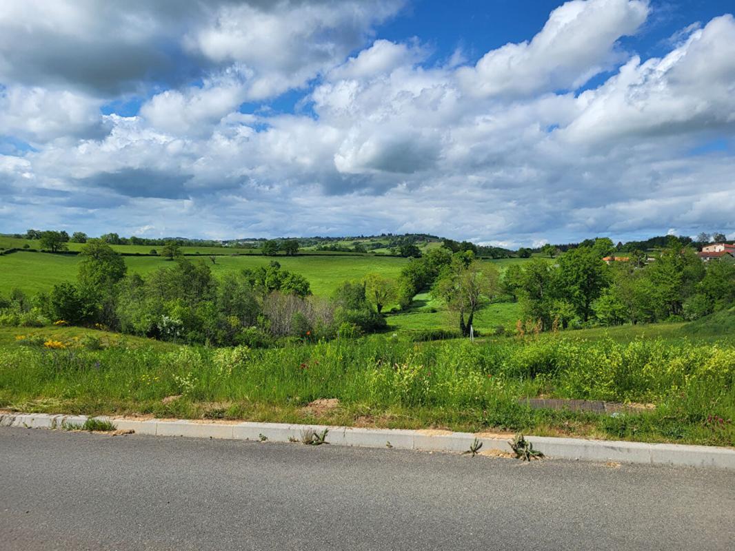 733m² Land in Loire, France No. 319304