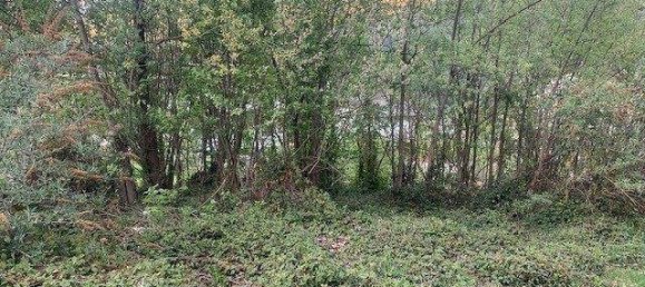 444m² Land in Aschau im Zillertal, Austria No. 156862 5