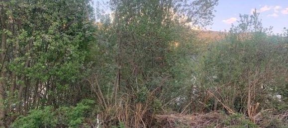 444m² Land in Aschau im Zillertal, Austria No. 156862 7