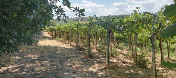  قطعة أرض في Casalbordino, Italy 17510متر مربع رقم 273841 6