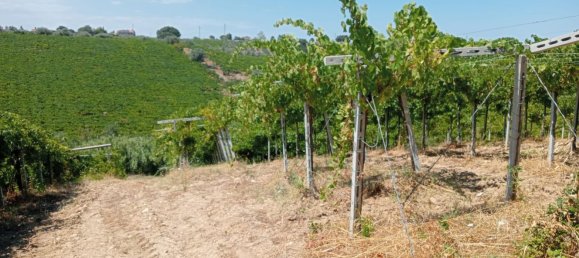  قطعة أرض في Casalbordino, Italy 17510متر مربع رقم 273841 3