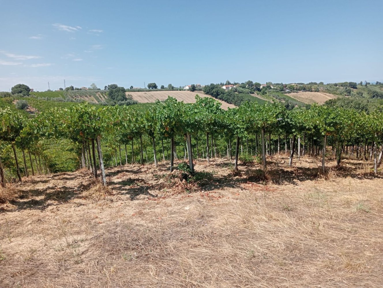  قطعة أرض في Casalbordino, Italy 17510متر مربع رقم 273841