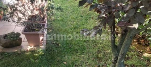 1 Schlafzimmer Wohnung in Bertinoro, Italy, Nr. 272980 5