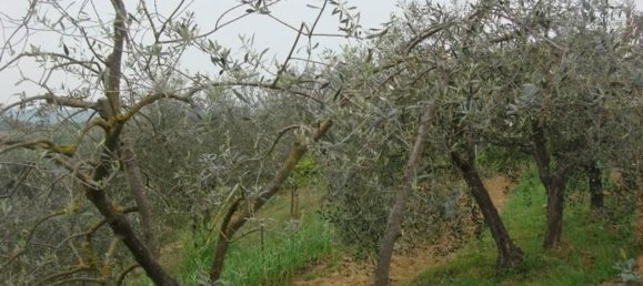 6000m² Land in Colle di Val d'Elsa, Italy No. 183119 6