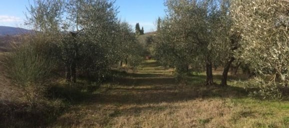 6000m² Land in Colle di Val d'Elsa, Italy No. 183119 2