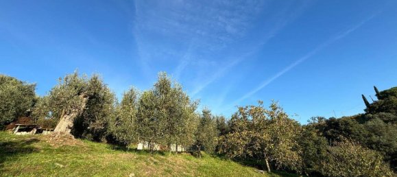 6 rooms Apartment in Magliano in Toscana, Italy No. 216669 23