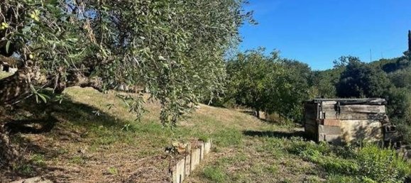 6 rooms Apartment in Magliano in Toscana, Italy No. 216669 2