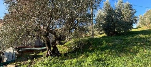 6 rooms Apartment in Magliano in Toscana, Italy No. 216669 21