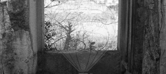 2 bedrooms House in Vale de Cambra, Portugal No. 187923 13